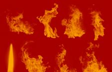 8�����Ч��PS��ˢ