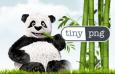 熊猫压缩（TinyPNG）在线图片压缩网站