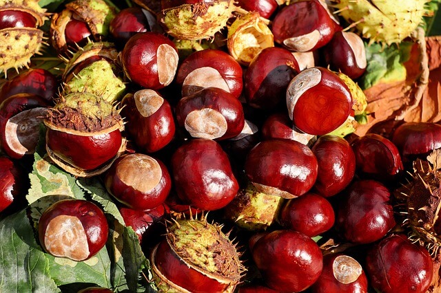 ްȨͼƬվƼ