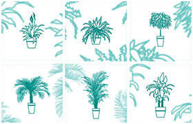 8款室内植物矢量素材，AI源文件