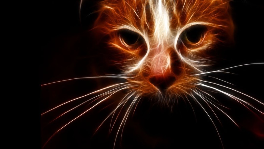 Silk:镜像炫光生成器