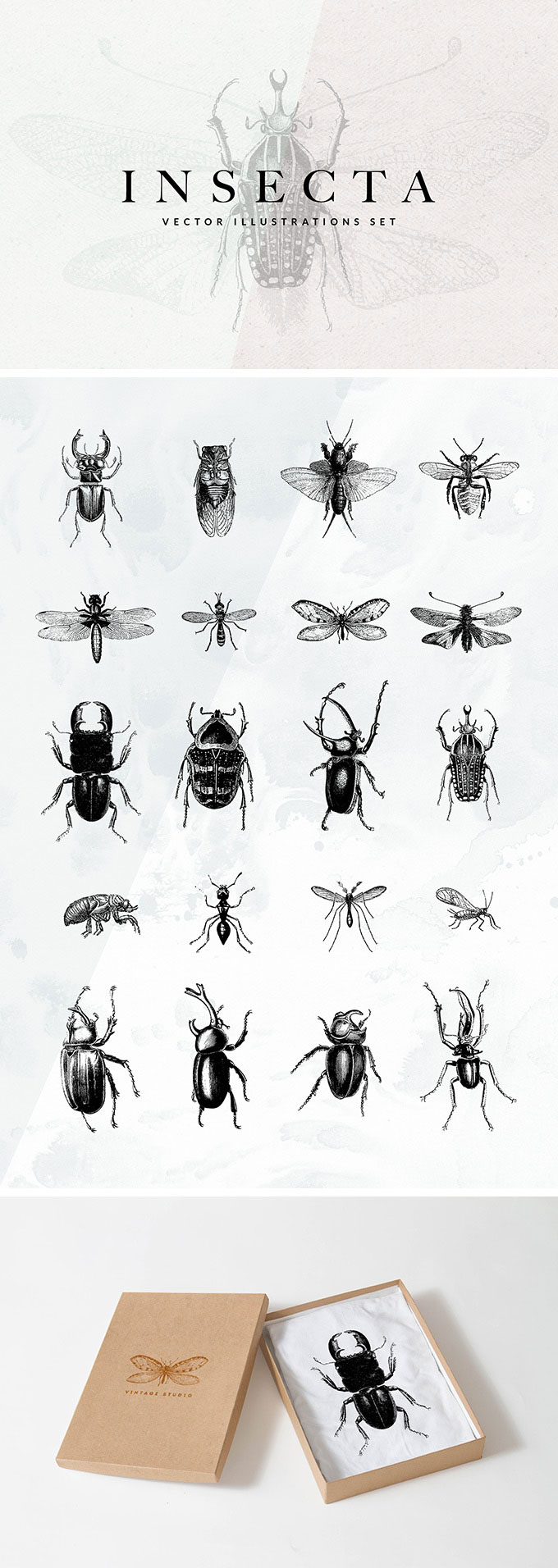 20种昆虫矢量插图集，AI源文件