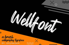 Wellfont дӢ