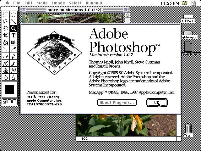 ׷Photoshopʷ