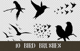 10种鸟类剪影Photosho笔刷