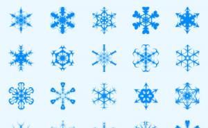 20�ֲ�ͬ��״ѩ����ˢ