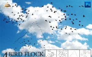 ʵ��С��Ⱥ��շ����ˢ