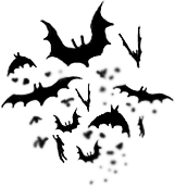 ��ʥ��ͼ�꣬PNG���ʽ