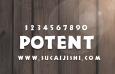POTENT Regular 英文字体