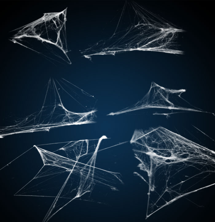 ����֩����PS��ˢ