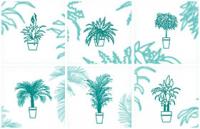 8款室内植物矢量素材，AI源文件