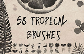 58种热带植物水果 Photoshop笔刷