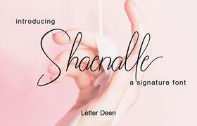 Shaenalle 签名英文字体