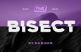 Bisect 充满未来科技感的英文字体
