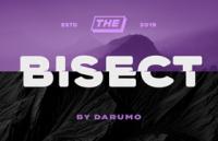 Bisect 充满未来科技感的英文字体