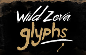 Wild Zofa Grunge 复古书法风格英文字体