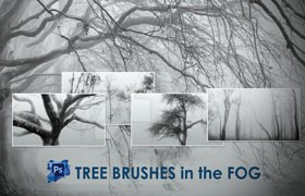 24个雾中树林Photoshop笔刷