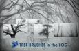 24����������Photoshop��ˢ