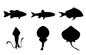 27种海洋生物PS形状，CSH格式