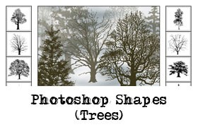 树木剪影Photoshop自定义形状